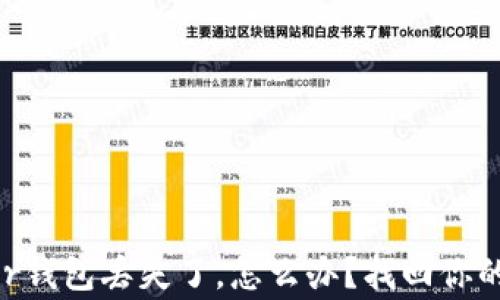 如果你的Ledger钱包丢失了,怎么办?找回你的加密资产之路!