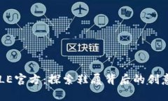 解锁SOLE官方：探索鞋履背