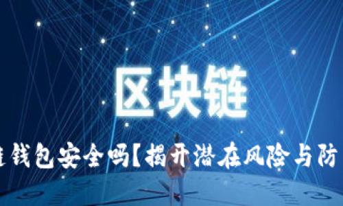 区块链钱包安全吗?揭开潜在风险与防范技巧