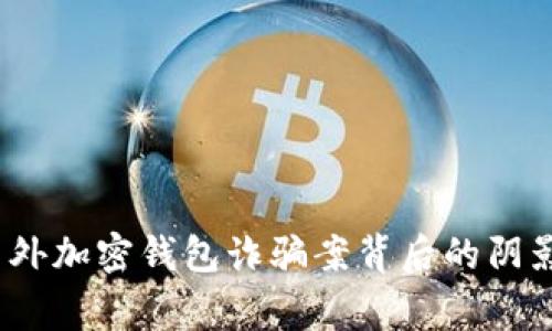 警惕!国外加密钱包诈骗案背后的阴影与真相