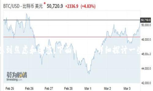 如果您在imToken钱包中发现币不见了，可能会感到焦虑和困惑。下面我们将详细探讨一些可能的原因以及解决方法，帮助您找回丢失的资产。

### 如何找回在imToken钱包中丢失的币？