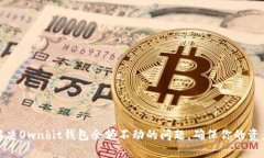 如何解决Ownbit钱包余额不