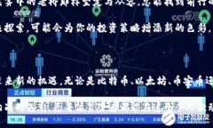 虚拟币市场的挑战与机遇