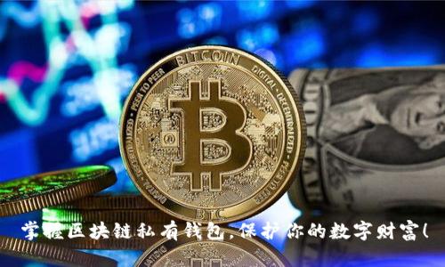 掌握区块链私有钱包,保护你的数字财富!