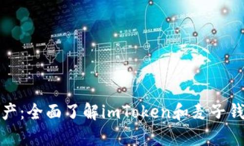 轻松管理数字资产:全面了解imToken和麦子钱包的优势与差异