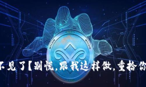 虚拟币钱包不见了?别慌,跟我这样做,重拾你的数字财宝!