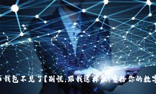 虚拟币钱包不见了?别慌,跟我这样做,重拾你的数字财宝!