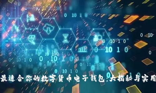 选择最适合你的数字货币电子钱包:大揭秘与实用指南