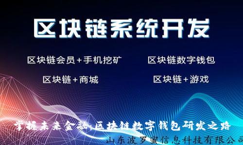 掌握未来金融:区块链数字钱包研发之路
