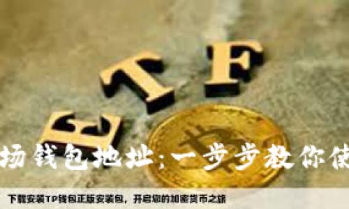 轻松查询你的波场钱包地址:一步步教你使用区块链浏览器