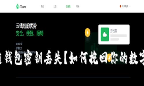 区块链钱包密钥丢失?如何挽回你的数字资产!