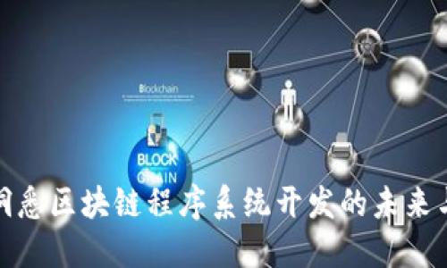 全面洞悉区块链程序系统开发的未来与机遇