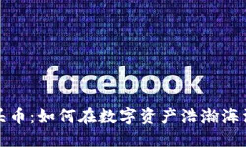 探寻币圈龙头币：如何在数字资产浩瀚海洋中找到明珠